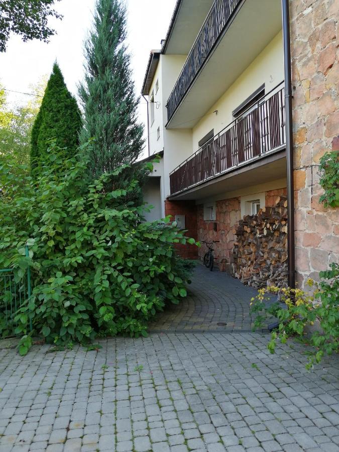 Lesna Villa Wisniowka  Exteriér fotografie